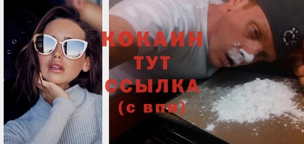 гашик Новодвинск