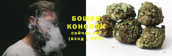 винт Нея