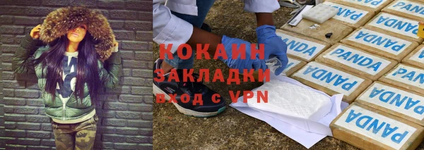 гашик Новодвинск