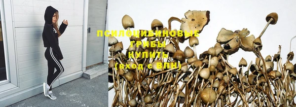 марихуана Новокубанск